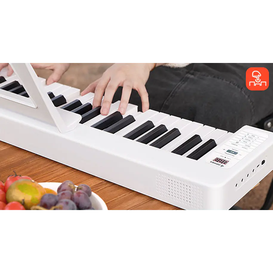 Donner DP-06 Teclado Digital Plegable 61 Teclas Semipesadas con Bluetooth y Batería Recargable EC6633 10