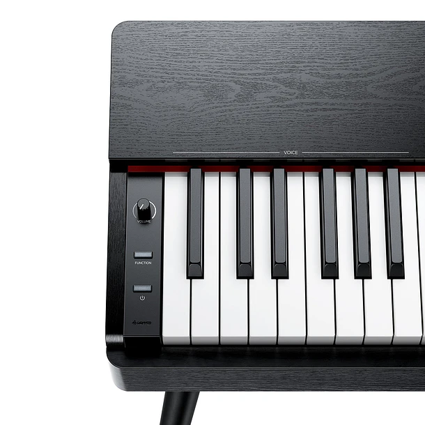 Donner OURA S100 Piano Digital 88 Teclas Acción de Martillo Graduada con Mueble Negro EC7134 11