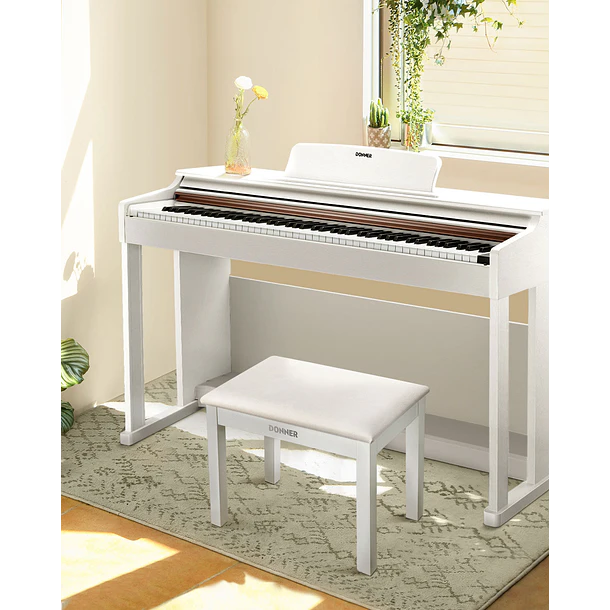 Donner DKB-10 Banco para Piano de Madera Maciza con Almacenamiento Blanco EC6612 4