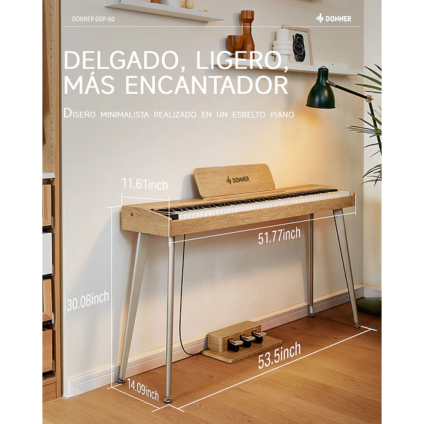 Donner DDP-60 Piano Digital Vertical 88 Teclas Semipesadas con 3 Pedales Natural EC6680 6