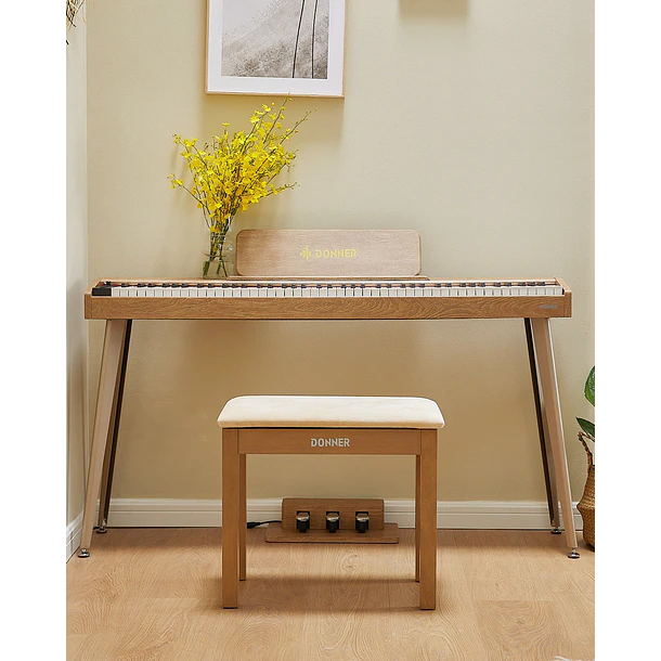 Donner DDP-60 Piano Digital Vertical 88 Teclas Semipesadas con 3 Pedales Natural EC6680 9