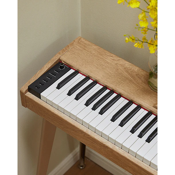 Donner DDP-60 Piano Digital Vertical 88 Teclas Semipesadas con 3 Pedales Natural EC6680 12