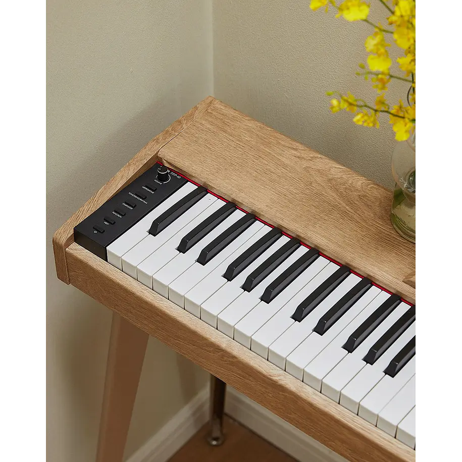 Donner DDP-60 Piano Digital Vertical 88 Teclas Semipesadas con 3 Pedales Natural EC6680 12