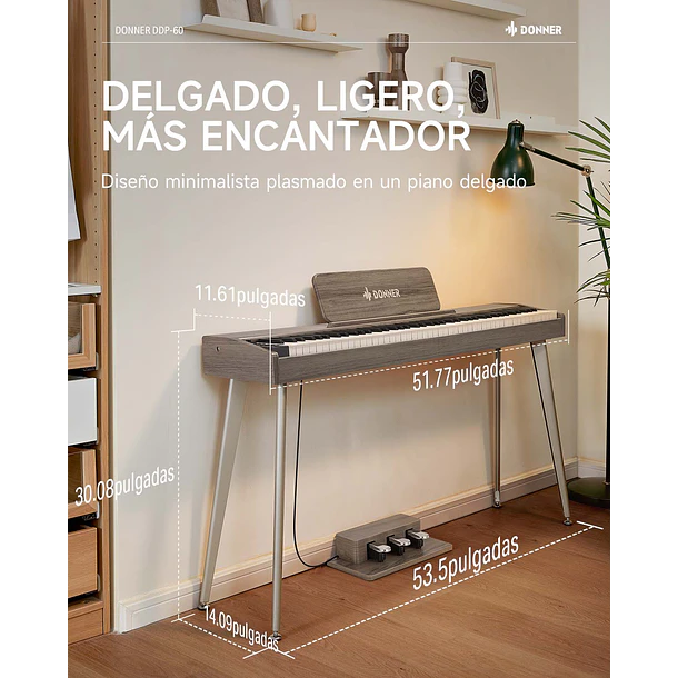 Donner DDP-60 Piano Digital Vertical 88 Teclas Semipesadas con 3 Pedales Gris Clásico EC6787 7
