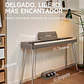 Donner DDP-60 Piano Digital Vertical 88 Teclas Semipesadas con 3 Pedales Gris Clásico EC6787 - Miniatura 7