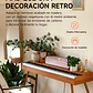 Donner DDP-80 Piano Digital 88 Teclas Acción de Martillo Graduada con Mueble Estilo Madera Natural EC3201 - Miniatura 6