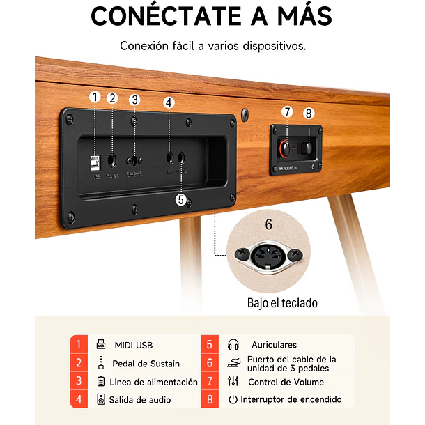 Donner DDP-80 Piano Digital 88 Teclas Acción de Martillo Graduada con Mueble Estilo Madera Natural EC3201 7