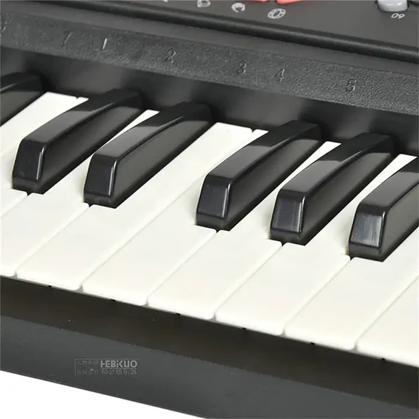 Hebikuo MK-4100 Teclado Electrónico 49 Teclas Con 16 Timbres y 10 Ritmos Ideal Para Principiantes 3
