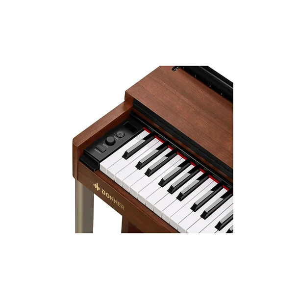 Donner DDP-200 Piano Digital 88 Teclas Acción de Martillo Graduada DGH con Mueble y Bluetooth MIDI EC3008 4