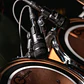 Audix D2 Micrófono Dinámico Hipercardioide Para Toms y Percusión - Thumbnail 6