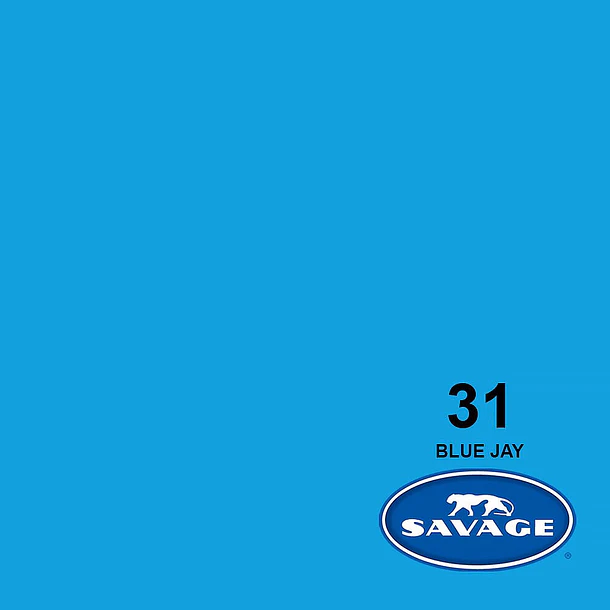 Savage Fondo Papel Blue Jay 1.3x11m Seamless 3