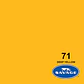 Savage Fondo Papel Deep Yellow 1.3x11m Seamless - Miniatura 3