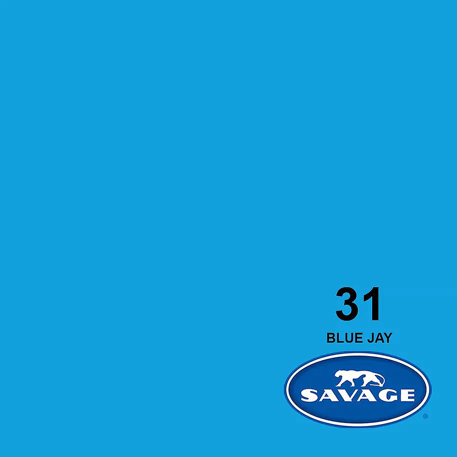 Savage Fondo Papel Blue Jay 2.7x11m Seamless 3