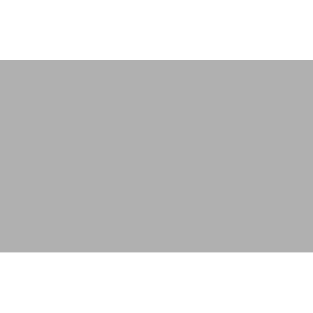 BD Fondo Papel Plaza Gray 1.3x11m Seamless 1