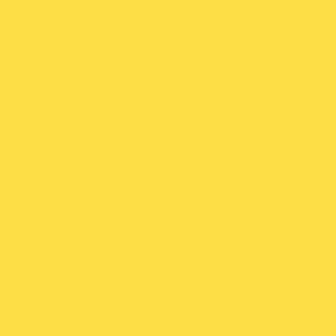 BD Fondo Papel Daffodil 2.7x11m Seamless