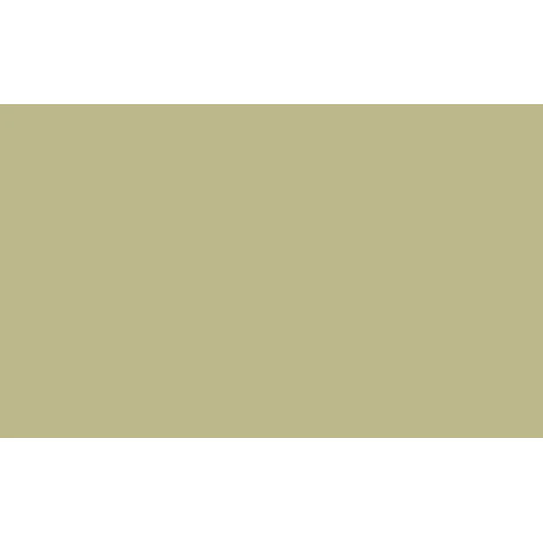 BD Fondo Papel Pistachio 2.7x11m Seamless 1