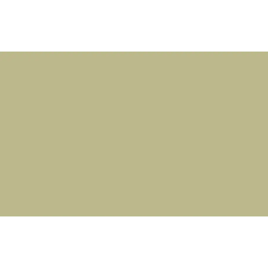 BD Fondo Papel Pistachio 2.7x11m Seamless 1