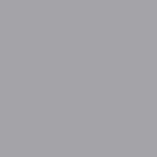 BD Fondo Papel Stone Gray 2.7x11m Seamless