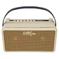 Vintage Retro 25 Amplificador Combo Guitarra Eléctrica 25W Vintage White Con Efectos y Grabación USB RETRO25VW - Thumbnail 1