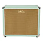 Vintage Retro 1x10 Gabinete de Extensión Guitarra Eléctrica Parlante 10 Pulgadas Mint Green RETRO110GR - Thumbnail 3