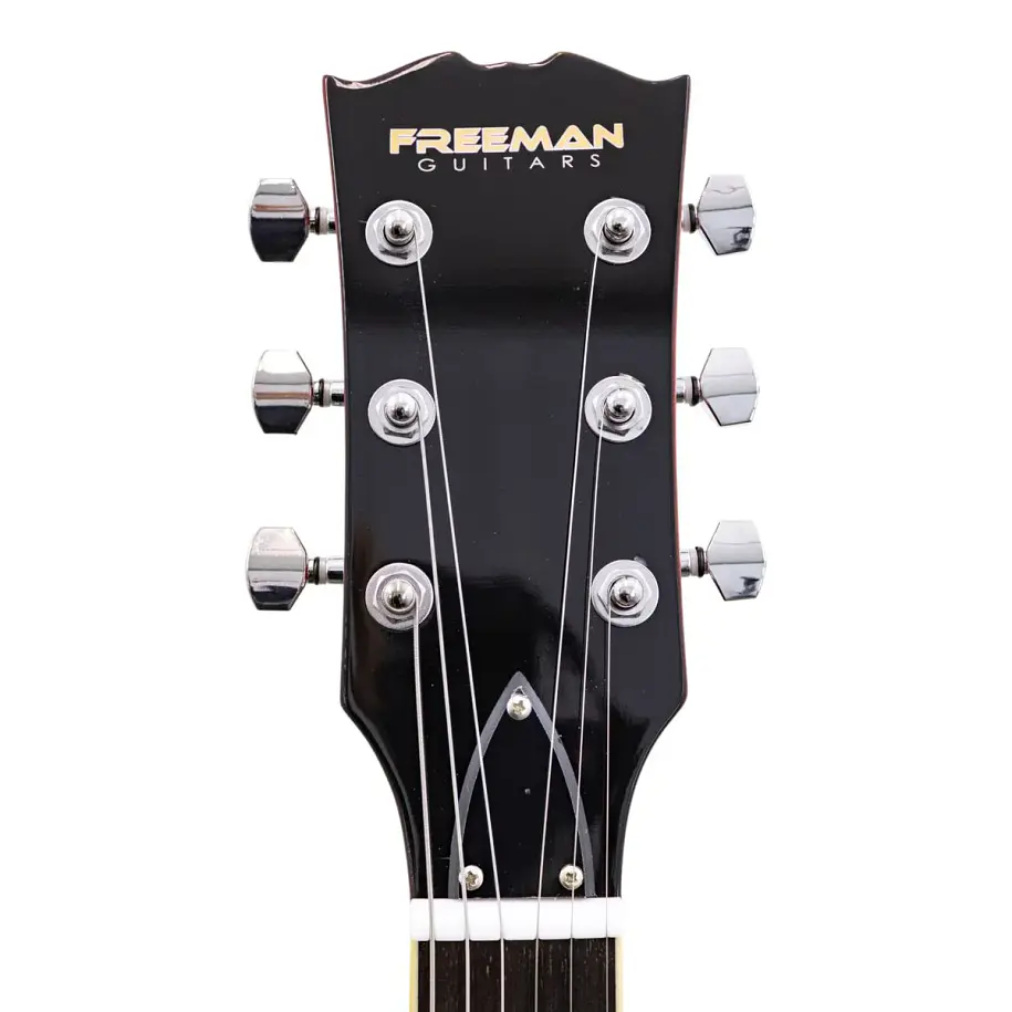 Freeman Ssg-10 Wrd/Wr Guitarra Electrica Freeman 9