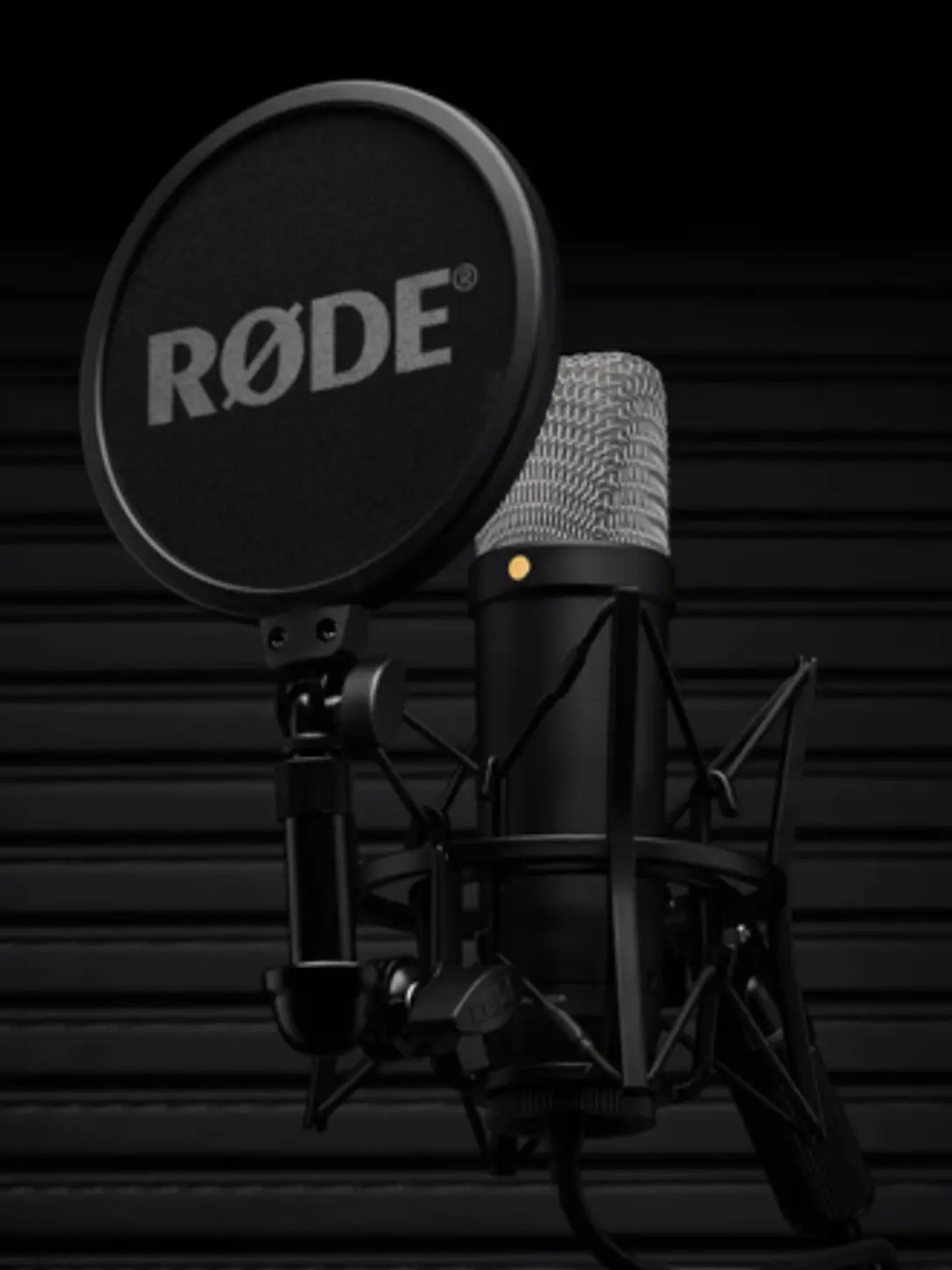 Audio
