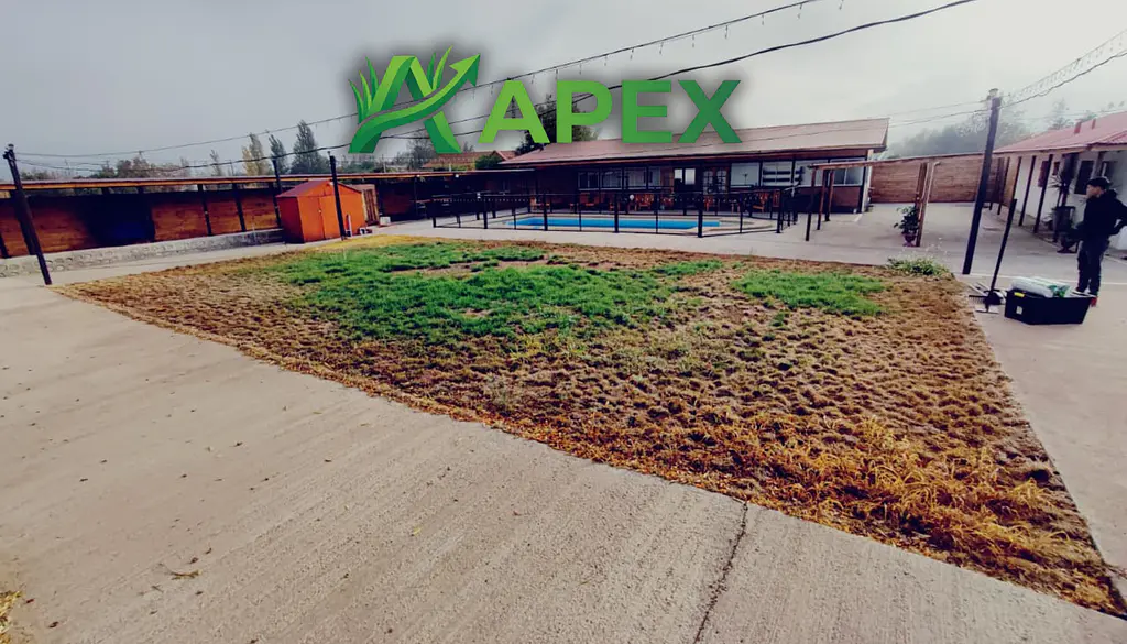CANCHA APEX COLINA 3