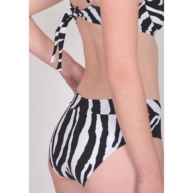 Calzón Bikini Cala Cebra