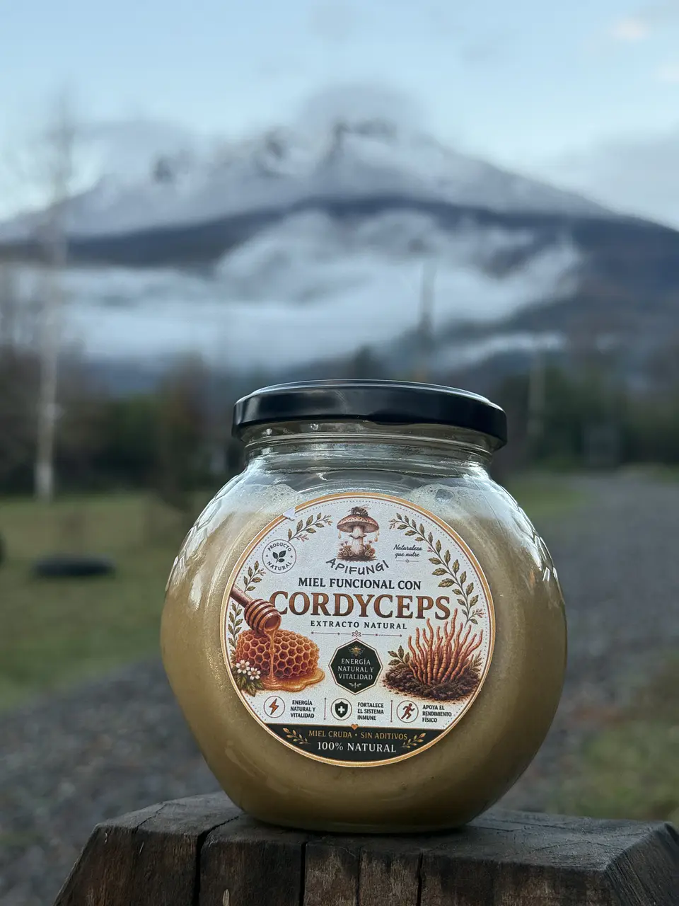 Miel con Cordyceps 3