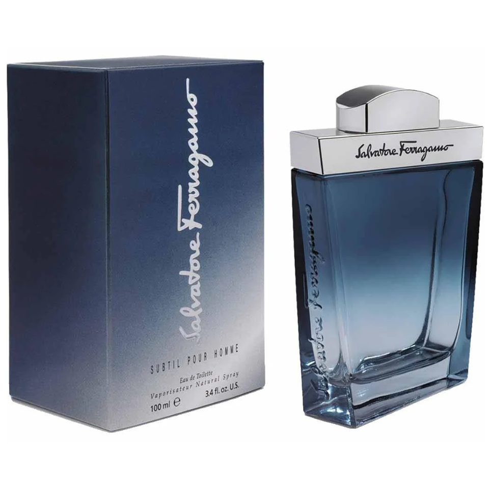 Salvatore Ferragamo EdT Subtil - Homme / 100 ml 1