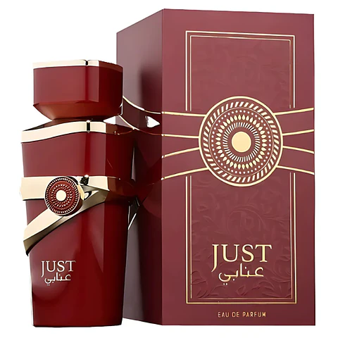 Fragance World EdP Just Anabi - Femme / 100 ml