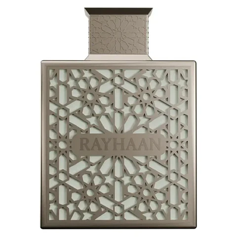 Rayhaan EdP Terra - Homme / 100 ml