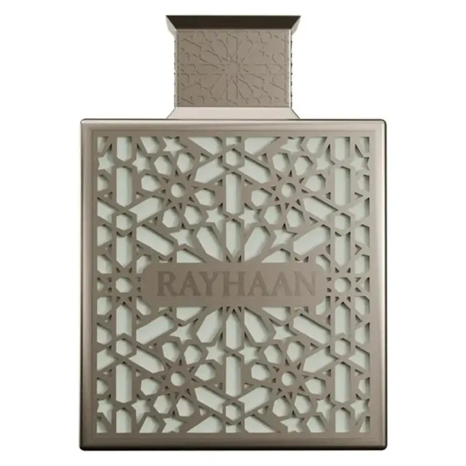 Rayhaan EdP Terra - Homme / 100 ml 1
