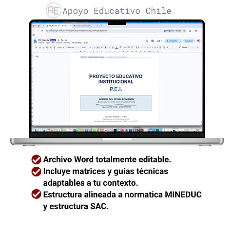 Plantilla PEI Editable Word | Proyecto Educativo Institucional