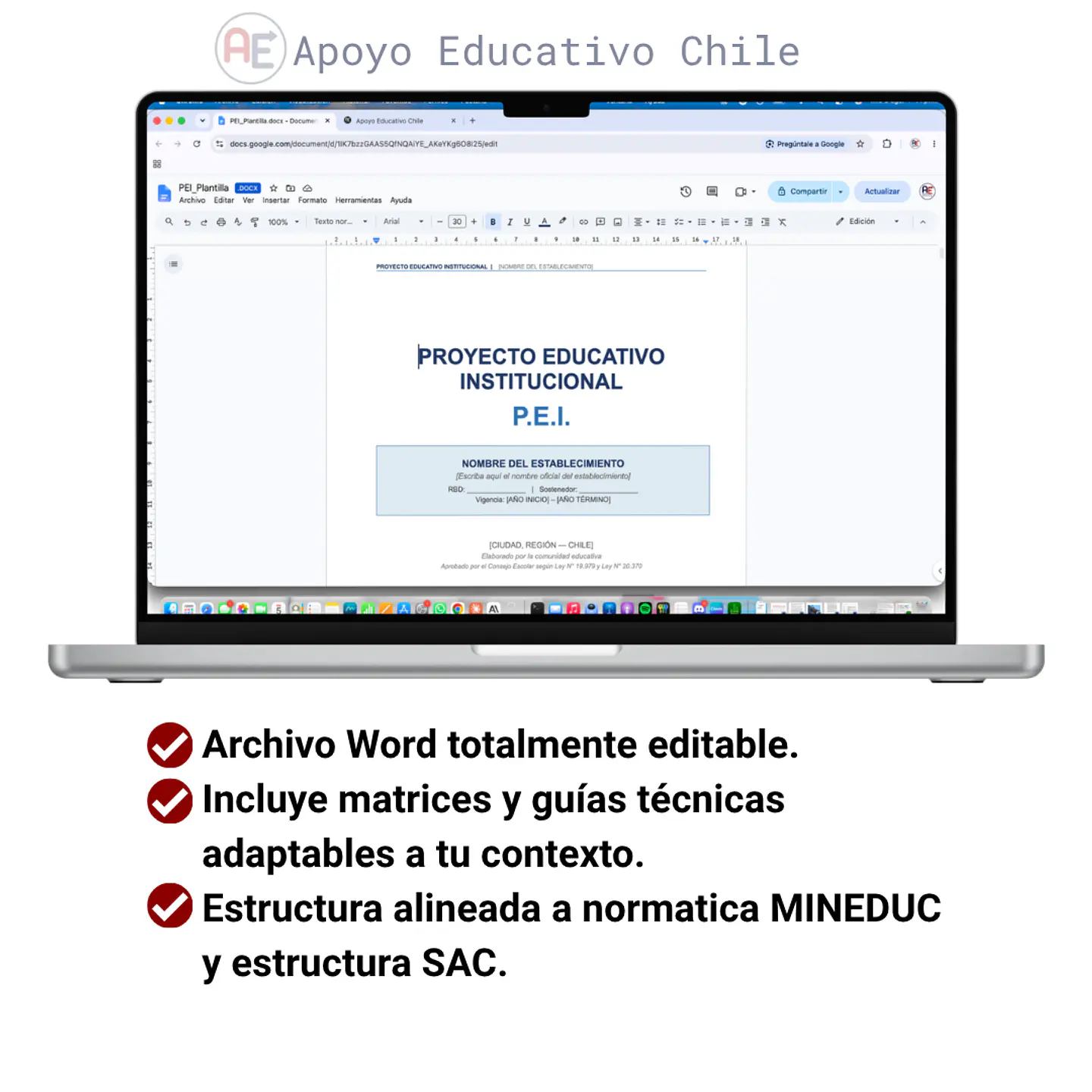 Plantilla PEI Editable Word | Proyecto Educativo Institucional 1