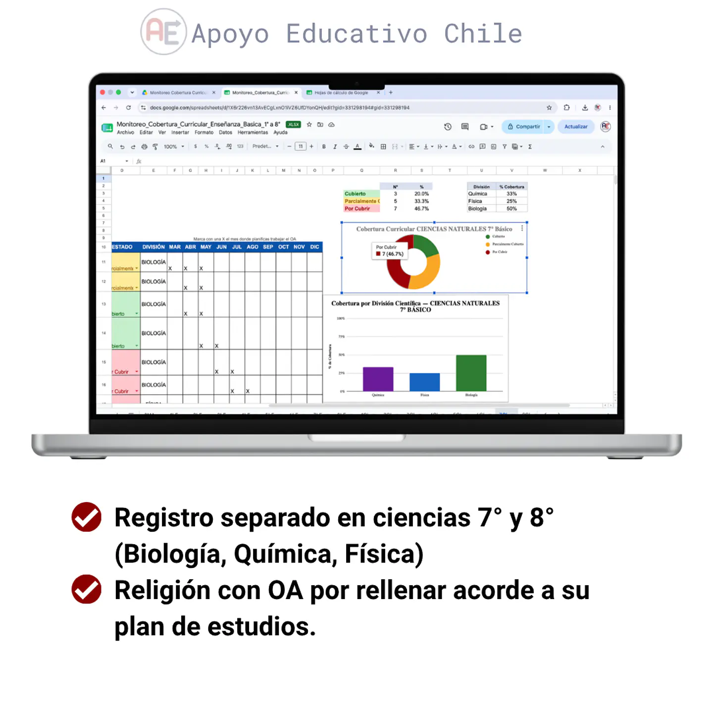 Cobertura curricular - Monitoreo Enseñanza Básica (1° a 8°)  4