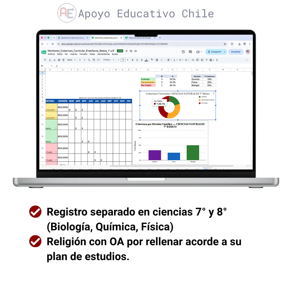 Cobertura curricular - Monitoreo Enseñanza Básica (1° a 8°)  4