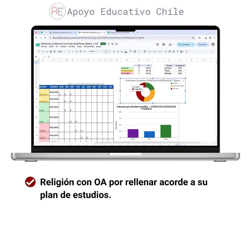 Cobertura curricular - Monitoreo Enseñanza Básica (1° a 6°)  4