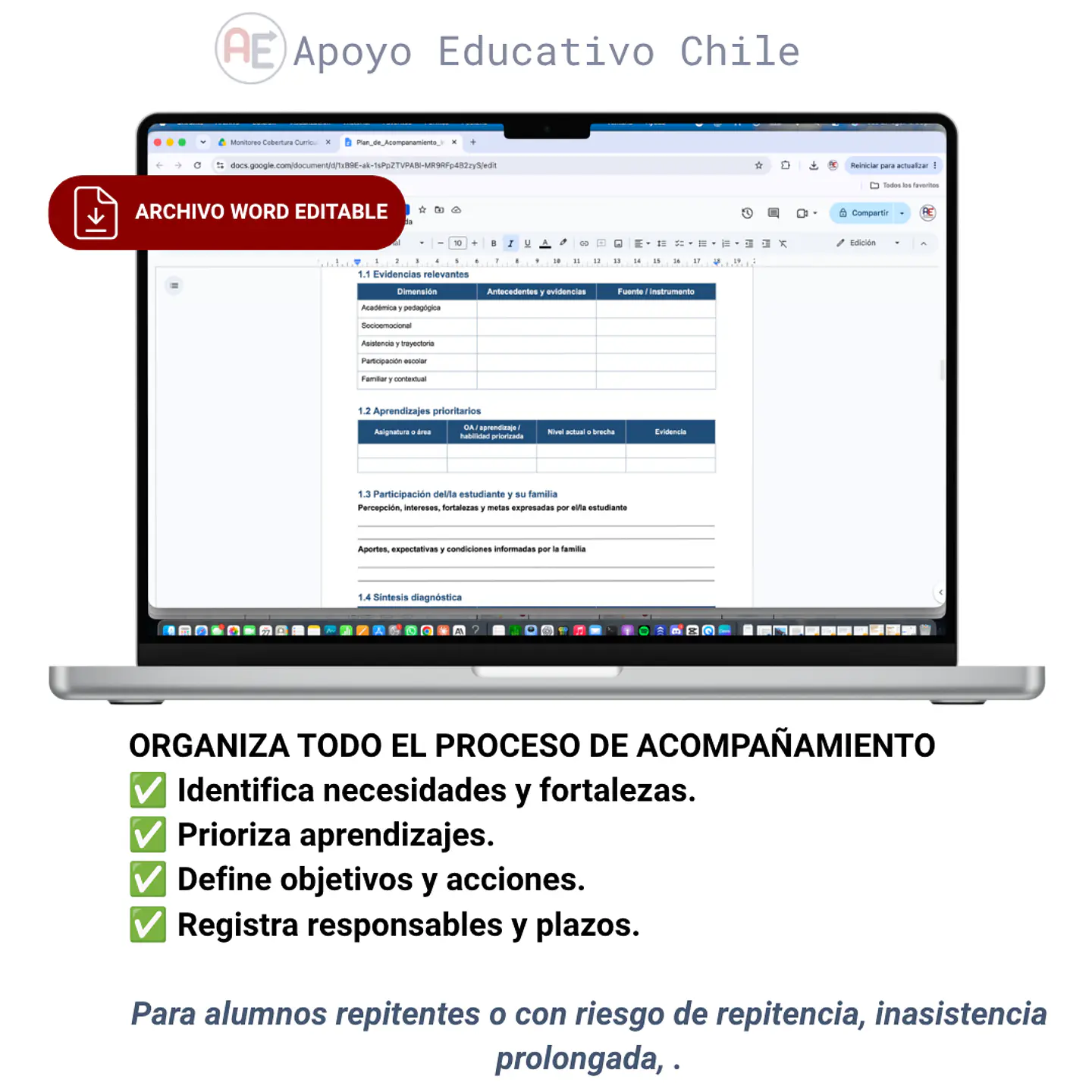 Plan de Acompañamiento Individual | Plantilla Word Editable 3