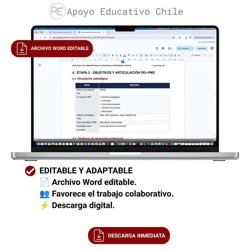 Plan Local de Formación Docente| Editable Word 4