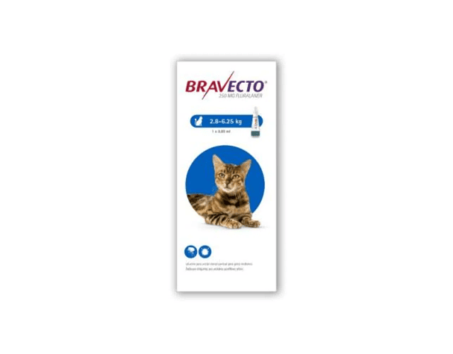 Bravecto gatos >2,8kg-6,5kgs