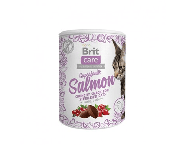 Brit care Snack Superfruit salmon 100g