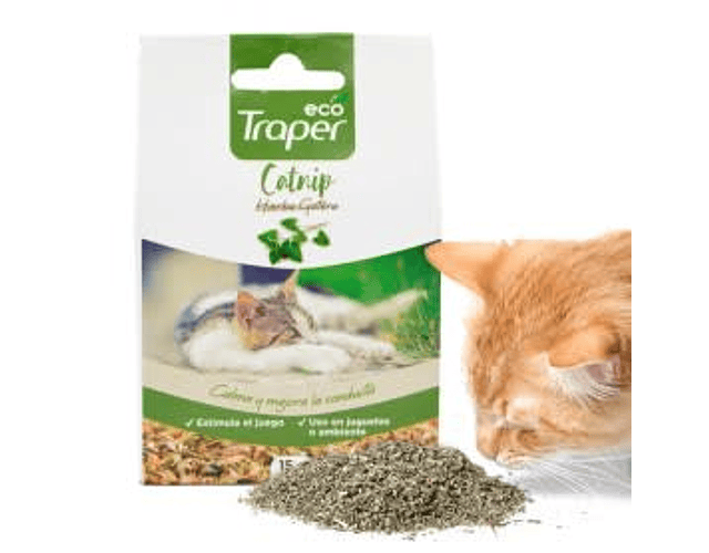 Catnip Hierba Gatera Eco Traper