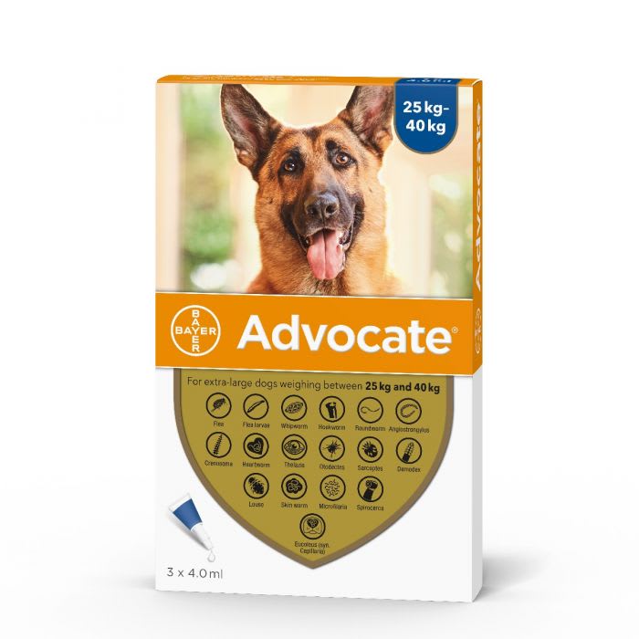 Advocate Pipeta Antipulga Para perros de 25 a 40KG