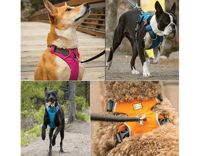 Ruffwear Front Range Harness Huckleberry Blue