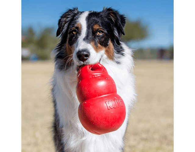 Kong Bounzer