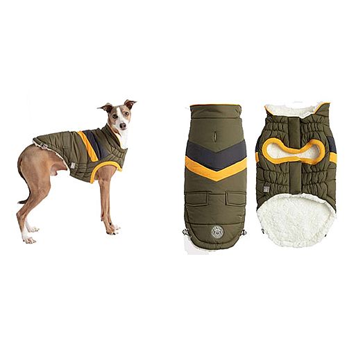 Gfpet Chaqueta Alpine puffer Verde