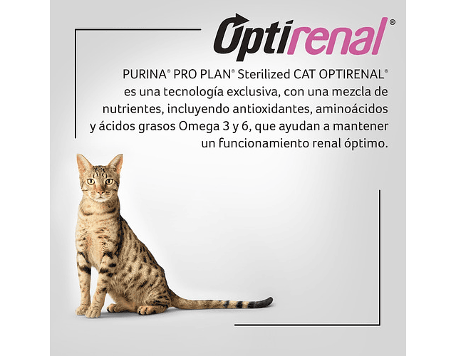 Alimento Pro Plan Optirenal Sterilized Para Gato Adulto Sabor Salmón Y Arroz En Bolsa De 3kg