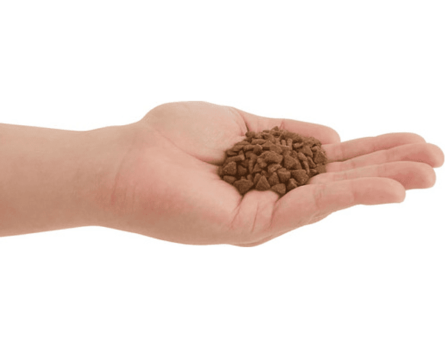 Alimento Acana Para Gato De Temprana Edad En Bolsa De 1.8kg