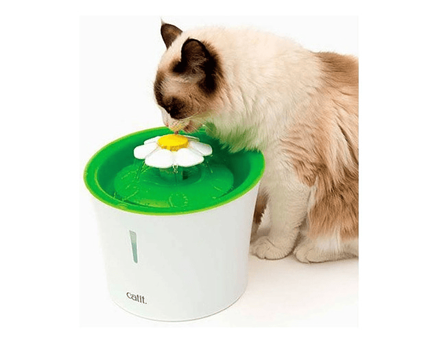 Bebedero Para Gatos Cat It Fuente Flor 3lts. Np Color Blanca Con Verde